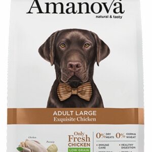 Amanova Dog Adult Large Exquisite Chicken - kurczak 12kg