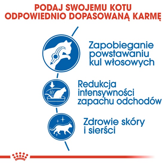 Royal Canin Indoor Long Hair karma sucha dla kotów dorosłych, długowłose, przebywających wyłącznie w domu 2kg - Image 3