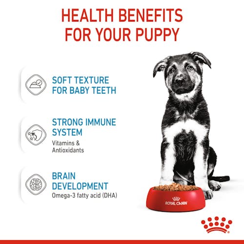 Royal Canin Maxi Puppy karma mokra w sosie dla szczeniąt, od 2 do 15 miesiąca życia, ras dużych saszetka 140g - Image 2