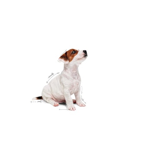 Royal Canin Mini Puppy karma mokra w sosie dla szczeniąt, od 2 do 10 miesiąca życia, ras małych saszetka 85g - Image 4