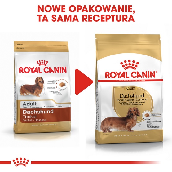 Royal Canin Dachshund Adult karma sucha dla psów dorosłych rasy jamnik 1,5kg - Image 5