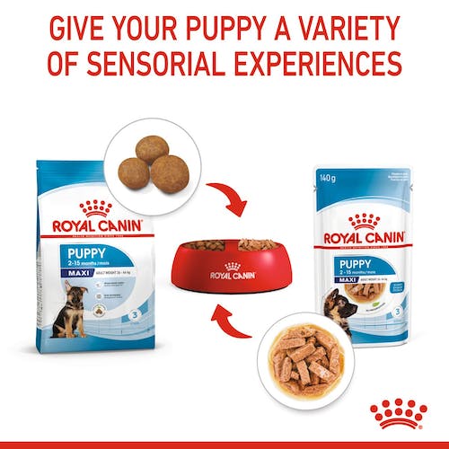 Royal Canin Maxi Puppy karma mokra w sosie dla szczeniąt, od 2 do 15 miesiąca życia, ras dużych saszetka 140g - Image 3