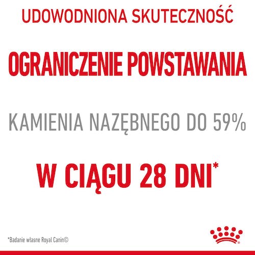 Royal Canin Dental Care karma sucha dla kotów dorosłych, redukująca odkładanie kamienia nazębnego 400g - Image 2