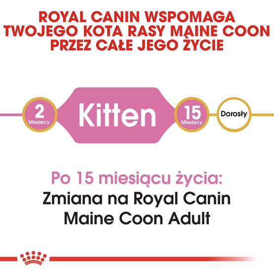 Royal Canin Maine Coon Kitten karma sucha dla kociąt, do 15 miesiąca, rasy maine coon 2kg - Image 3