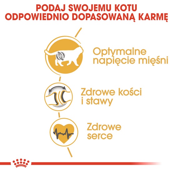 Royal Canin British Shorthair Adult karma sucha dla kotów dorosłych rasy brytyjski krótkowłosy 2kg - Image 4