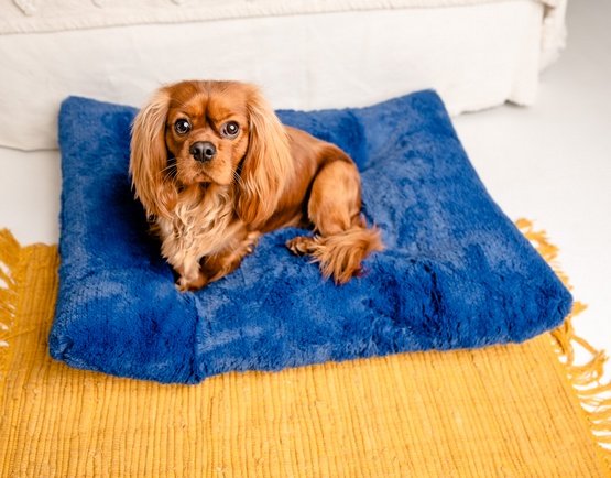 MIMIKO Pets Legowisko Shaggy prostokątne XL 85x65cm chabrowe - Image 2