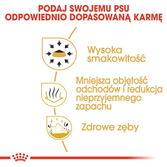 Royal Canin Chihuahua Adult karma sucha dla psów dorosłych rasy chihuahua 1,5kg - Image 6