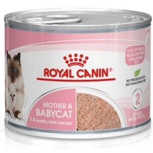 Royal Canin Mother & Babycat Mousse karma mokra - mus dla kociąt i kotek karmiących puszka 195g