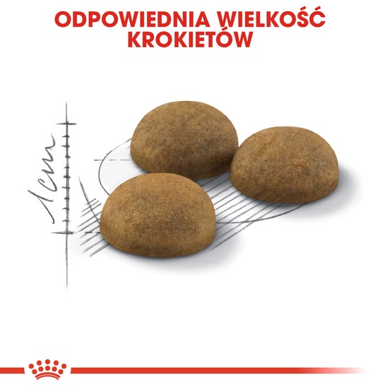 Royal Canin Indoor Long Hair karma sucha dla kotów dorosłych, długowłose, przebywających wyłącznie w domu 2kg - Image 4