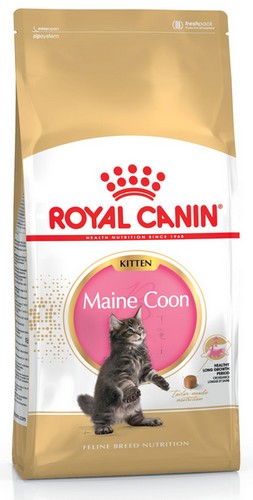 Royal Canin Maine Coon Kitten karma sucha dla kociąt, do 15 miesiąca, rasy maine coon 2kg - Image 2