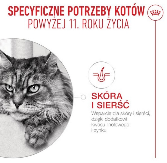 Royal Canin Ageing +11 karma mokra dla kotów dojrzałych w sosie saszetka 85g - Image 3
