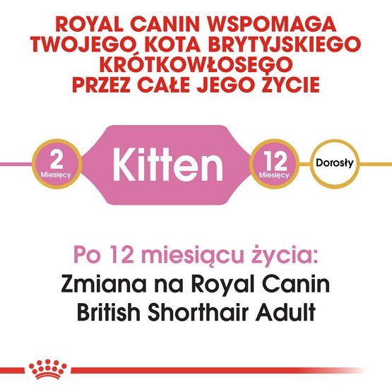 Royal Canin British Shorthair Kitten karma sucha dla kociąt, do 12 miesiąca, rasy brytyjski krótkowłosy 2kg - Image 3