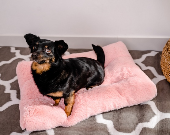 MIMIKO Pets Legowisko Shaggy prostokątne L 65x45cm różowe - Image 3