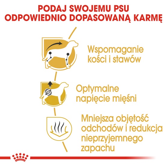 Royal Canin Dachshund Adult karma sucha dla psów dorosłych rasy jamnik 1,5kg - Image 3