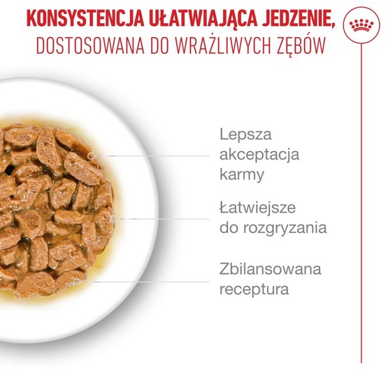 Royal Canin Ageing +15 karma mokra dla kotów dojrzałych w sosie saszetka 85g - Image 4
