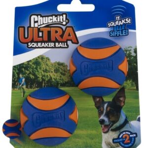 Chuckit! Ultra Squeaker Ball Small 2pak [31537]