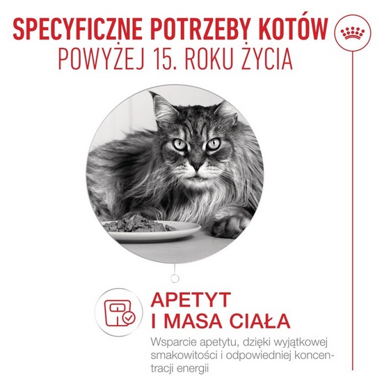 Royal Canin Ageing +15 karma mokra dla kotów dojrzałych w sosie saszetka 85g - Image 2