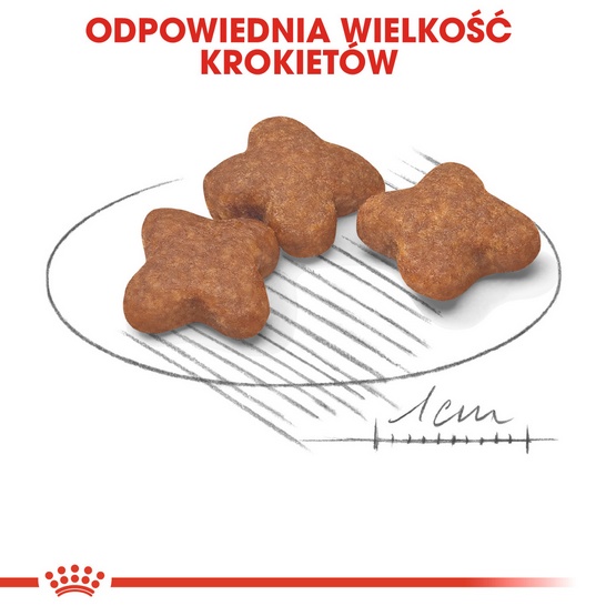 Royal Canin Mini Adult karma mokra w sosie dla psów dorosłych, ras małych saszetka 85g - Image 5
