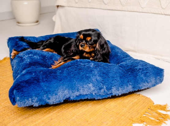 MIMIKO Pets Legowisko Shaggy prostokątne XL 85x65cm chabrowe - Image 3