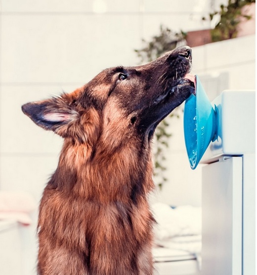 LickiMat Splash miska z przyssawką turkusowa - Image 7