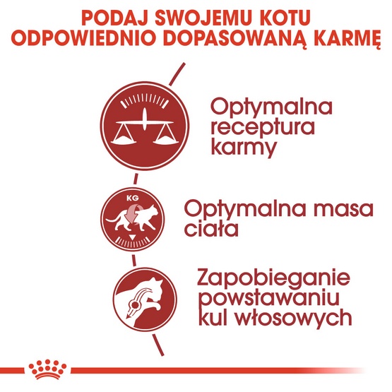 Royal Canin Fit karma sucha dla kotów dorosłych, wspierająca idealną kondycję 400g - Image 4
