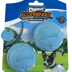 Chuckit! Rebounce Ball Medium 2pak [520320]