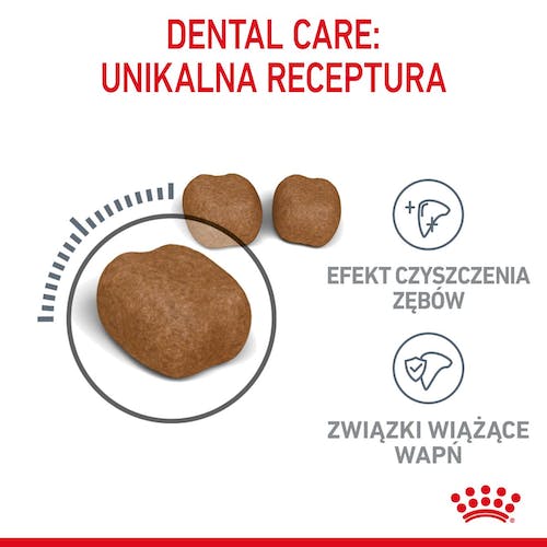 Royal Canin Dental Care karma sucha dla kotów dorosłych, redukująca odkładanie kamienia nazębnego 400g - Image 4