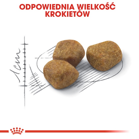 Royal Canin Fit karma sucha dla kotów dorosłych, wspierająca idealną kondycję 400g - Image 5