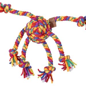Zolux Zabawka dla psa szarpak ośmiornica sznur Rainbow 38cm