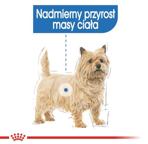 Royal Canin Light Weight Care karma mokra dla psów dorosłych, wszystkich ras z tendencją do nadwagi saszetka 85g - Image 2