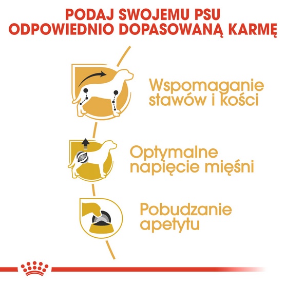 Royal Canin Dachshund karma mokra - pasztet, dla psów dorosłych rasy jamnik saszetka 85g - Image 5