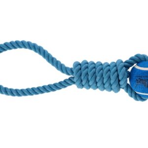 Dingo Zabawka dla psa - Piłka tenisowa z uchwytem Fresh 6,2x41cm niebieska