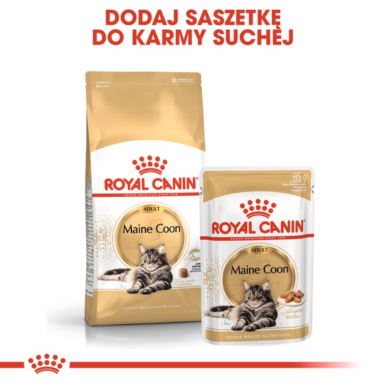 Royal Canin Maine Coon Adult karma sucha dla kotów dorosłych rasy maine coon 2kg - Image 5