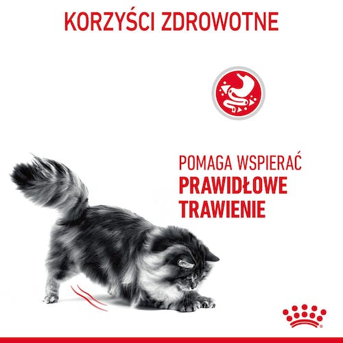 Royal Canin Digestive Care karma sucha dla kotów dorosłych, wspomagająca przebieg trawienia 2kg - Image 3