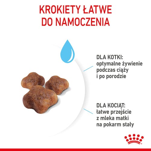 Royal Canin Mother&Babycat karma sucha dla kotek w okresie ciąży, laktacji i kociąt od 1 do 4 miesiąca 400g - Image 5