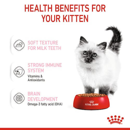 Royal Canin Kitten w sosie karma mokra dla kociąt do 12 miesiąca życia saszetka 85g - Image 2