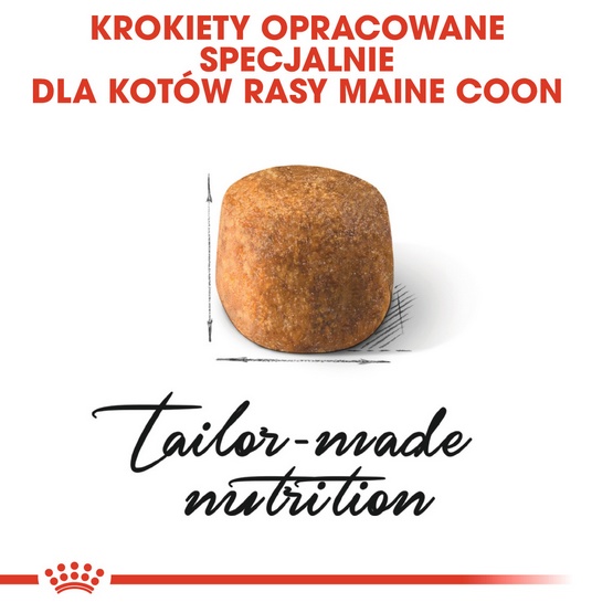 Royal Canin Maine Coon Adult karma sucha dla kotów dorosłych rasy maine coon 2kg - Image 3