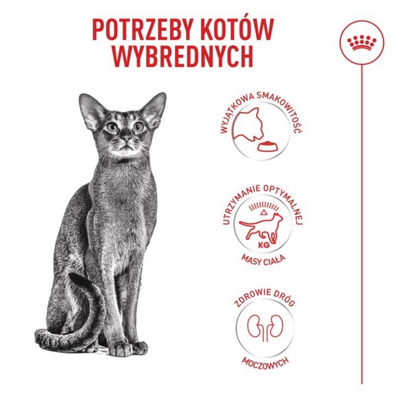 Royal Canin Fussy Exigent karma sucha dla kotów dorosłych, wybrednych 2kg - Image 4