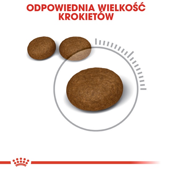 Royal Canin Hair&Skin Care karma sucha dla kotów dorosłych, lśniąca sierść i zdrowa skóra 2kg - Image 5