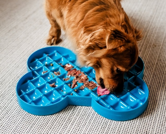 SloDog Slow Feeder Plate Miska spowalniająca duża kość czarna - Image 3