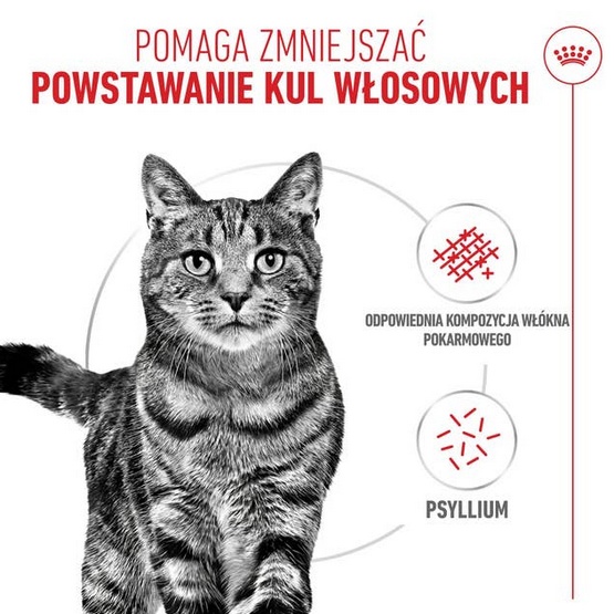 Royal Canin Hairball Care karma sucha dla kotów dorosłych, eliminacja kul włosowych 4kg - Image 2