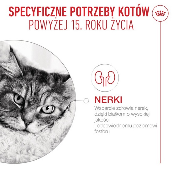 Royal Canin Ageing +15 karma mokra dla kotów dojrzałych w sosie saszetka 85g - Image 3