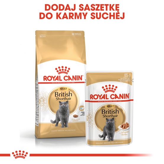 Royal Canin British Shorthair Adult karma sucha dla kotów dorosłych rasy brytyjski krótkowłosy 2kg - Image 5
