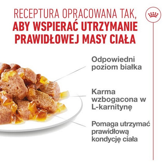 Royal Canin Light Weight Care w galaretce karma mokra dla kotów dorosłych, z tendencją do nadwagi saszetka 85g - Image 3