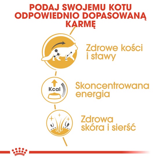 Royal Canin Maine Coon karma mokra w sosie dla kotów dorosłych rasy maine coon saszetka 85g - Image 4