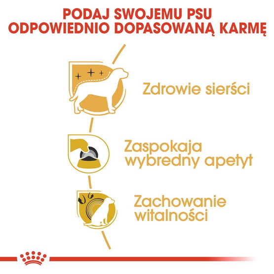 Royal Canin Yorkshire Terrier Adult karma sucha dla psów dorosłych rasy yorkshire terrier 3kg - Image 5