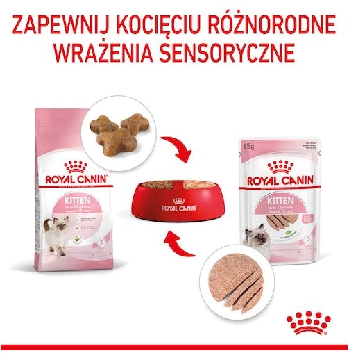 Royal Canin Kitten pasztet (loaf) karma mokra dla kociąt do 12 miesiąca życia saszetka 85g - Image 4