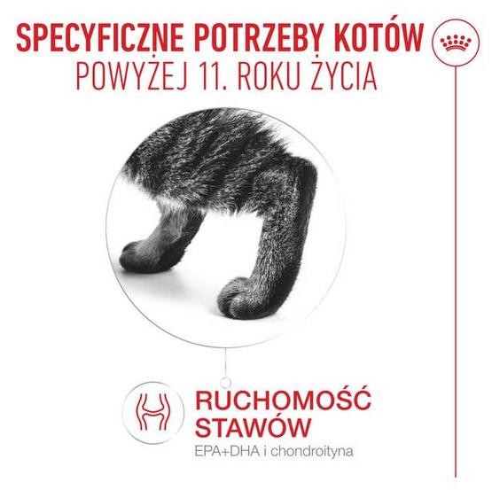 Royal Canin Ageing +11 karma mokra dla kotów dojrzałych w sosie saszetka 85g - Image 2