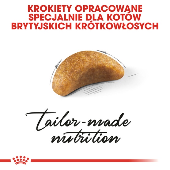 Royal Canin British Shorthair Kitten karma sucha dla kociąt, do 12 miesiąca, rasy brytyjski krótkowłosy 2kg - Image 5