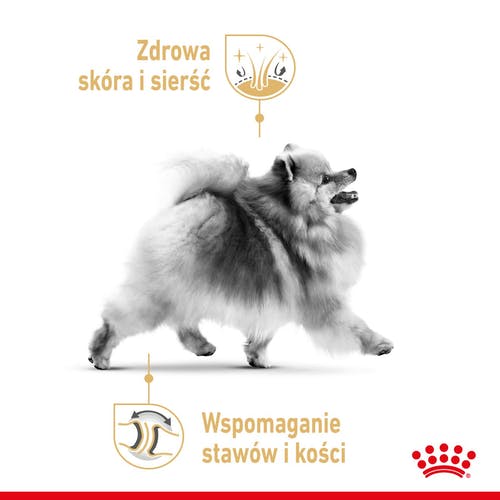 Royal Canin Pomeranian Adult karma mokra dla psów dorosłych rasy szpic miniaturowy, pasztet saszetka 85g - Image 2
